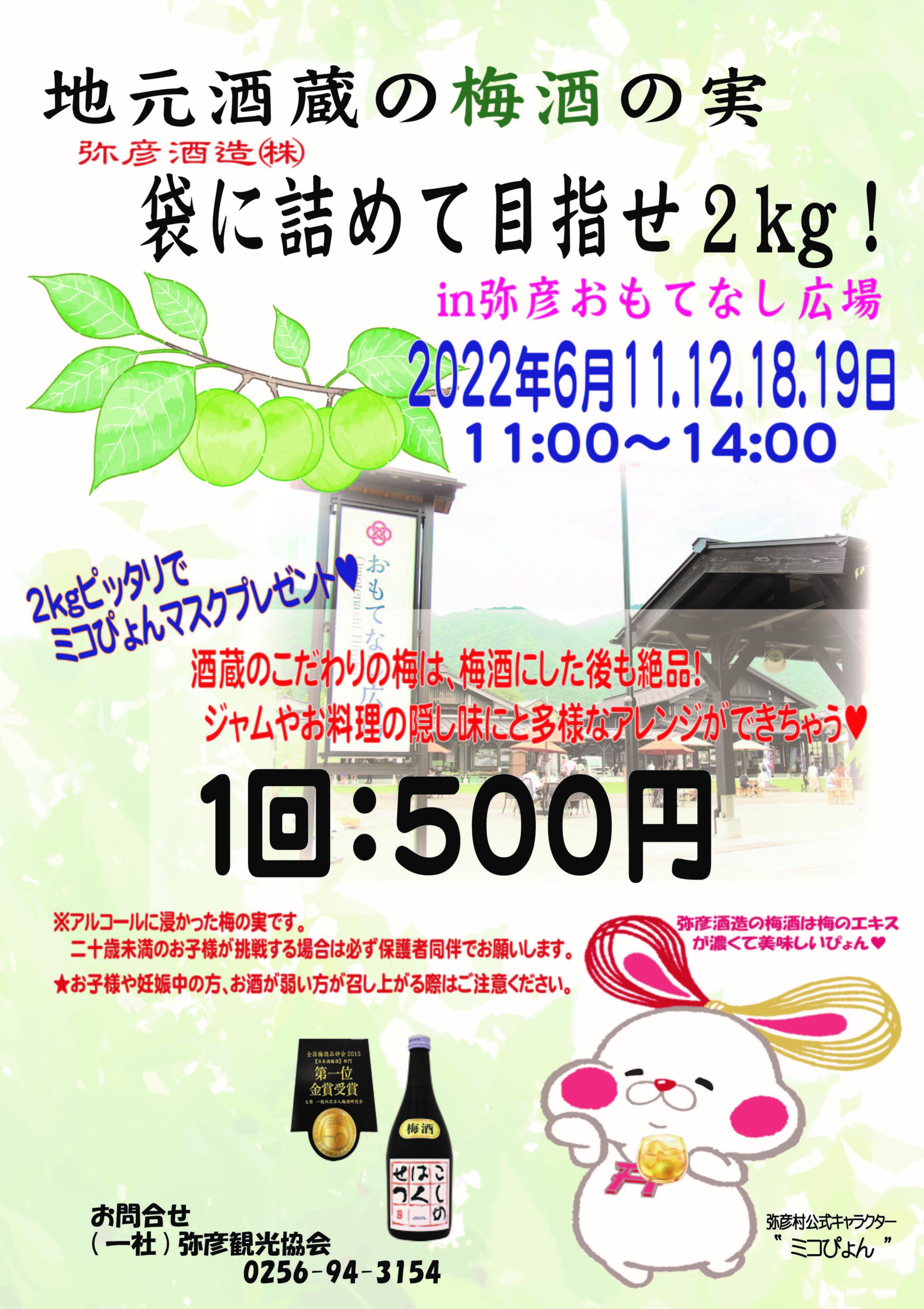 6月11.12.18.19日 『地元酒蔵の梅酒の実、袋に詰めて目指せ2kg！』開催のお知らせ | お知らせ | 弥彦観光協会公式サイト／やひ恋