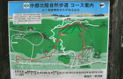 中文 弥彦観光 新潟県弥彦温泉弥彦観光協会 弥彦浪漫